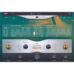 UJAM �yValentine's Flash Sale�I�����I�zVirtual Bassist MELLOW 2(���[�W����)(���@�[�`�����x�[�V�X�g)(�I�����C���[�i)(2���Ԉȓ��ɔ[�i) �\�t�g�E�F�A����