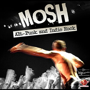 BIG FISH AUDIO yrbOtBbVI[fBIZ[IzMOSH(IC[i)(2Ԉȓɔ[i) vOC\tg