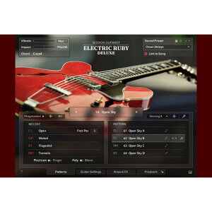 Native Instruments Session Guitarist - Electric Ruby Deluxe (lCeBuCXgc)(KONTAKTCXgDg)(IC[i)(2Ԉȓɔ[i) \tgEFA