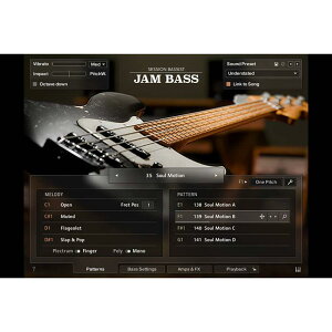 Native Instruments Session Bassist - Jam Bass (�l�C�e�B�u�C���X�g�������c)(KONTAKT�C���X�g�D�������g)(�I�����C���[�i)(2���Ԉȓ��ɔ[�i) �\�t�g�E�F�A����