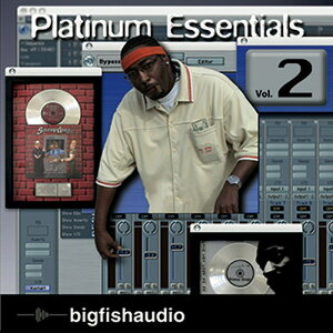 BIG FISH AUDIO PLATINUM ESSENTIALS 2(IC[i)(2Ԉȓɔ[i) vOC\tg