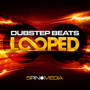 5PIN MEDIA DUBSTEP BEATS LOOPED(IC[i)(2Ԉȓɔ[i) vOC\tg