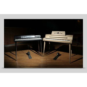 Native Instruments Electric Keys - Moonshell (�l�C�e�B�u�C���X�g�������c)(KONTAKT�C���X�g�D�������g)(�I�����C���[�i)(2���Ԉȓ��ɔ[�i) �\�t�g�E�F�A����