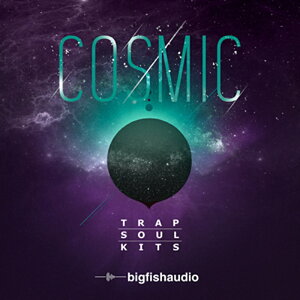 BIG FISH AUDIO COSMIC - TRAP SOUL KITS(�I�����C���[�i)(2���Ԉȓ��ɔ[�i) �v���O�C���\�t�g