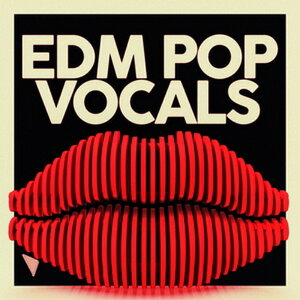 DABRO MUSIC EDM POP VOCALS(�I�����C���[�i)(2���Ԉȓ��ɔ[�i) �v���O�C���\�t�g