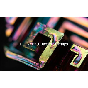 Native Instruments Leap Expansion - Latin Trap (�l�C�e�B�u�C���X�g�������c)(���[�v�G�N�X�p���V����)(�I�����C���[�i)(2���Ԉȓ��ɔ[�i) �\�t�g�E�F�A����
