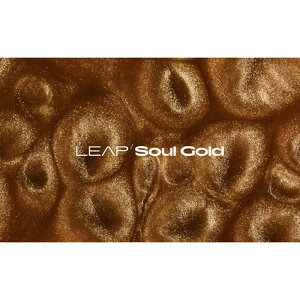 Native Instruments Leap Expansion - Soul Gold (�l�C�e�B�u�C���X�g�������c)(���[�v�G�N�X�p���V����)(�I�����C���[�i)(2���Ԉȓ��ɔ[�i) �\�t�g�E�F�A����