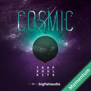 BIG FISH AUDIO COSMIC - TRAP SOUL KITS MMT(�I�����C���[�i)(2���Ԉȓ��ɔ[�i) �v���O�C���\�t�g