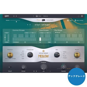 UJAM Virtual Bassist Mellow (���[�W����)(���@�[�`�����x�[�V�X�g)(�A�b�v�O���[�h��)(�I�����C���[�i)(2���Ԉȓ��ɔ[�i) �\�t�g�E�F�A����