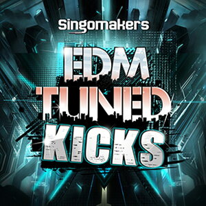 SINGOMAKERS EDM TUNED KICKS(�I�����C���[�i)(2���Ԉȓ��ɔ[�i) �v���O�C���\�t�g