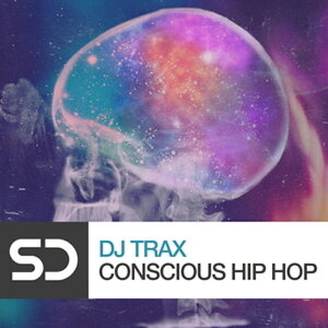 SAMPLE DIGGERS y[v}X^[Y Back to the Studio Z[IzDJ TRAX - CONSCIOUS HIP HOP(IC[i)(2Ԉȓɔ[i) vOC\tg