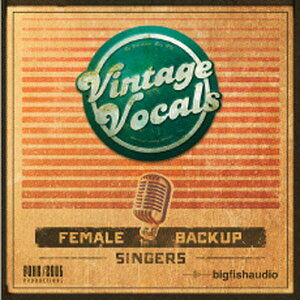 BIG FISH AUDIO �y�r�b�O�t�B�b�V���I�[�f�B�IMemorial Day Sale�I�zVINTAGE VOCALS(�I�����C���[�i)(2���Ԉȓ��ɔ[�i) �\�t�g�E�F�A����