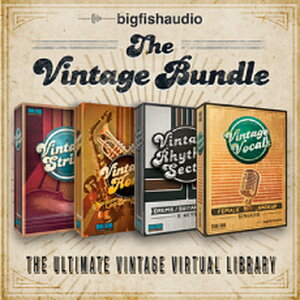 BIG FISH AUDIO THE VINTAGE BUNDLE(IC[i)(2Ԉȓɔ[i) \tgEFA
