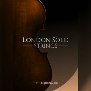 BIG FISH AUDIO London Solo Strings (rbOtBbVI[fBI)(hE\EXgOX)(IC[i)(2Ԉȓɔ[i) \tgEFA