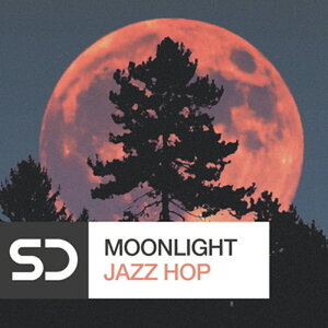 SAMPLE DIGGERS MOONLIGHT JAZZ HOP(IC[i)(2Ԉȓɔ[i) vOC\tg