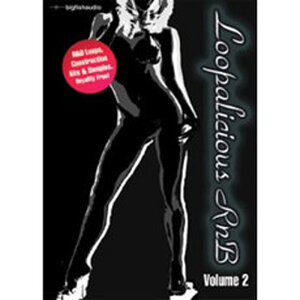 BIG FISH AUDIO 【ビッグフィッシュオーディオセール!】LOOPALICIOUS RnB VOLUME 2(オンライン納品)(2時間以内に納品) プラグインソフト