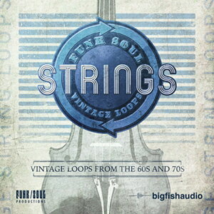 BIG FISH AUDIO yrbOtBbVI[fBIZ[IzFUNK SOUL VINTAGE STRING LOOPS(IC[i)(2Ԉȓɔ[i) vOC\tg