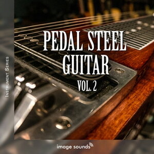 IMAGE SOUNDS PEDAL STEEL GUITAR 2(IC[i)(2Ԉȓɔ[i) vOC\tg