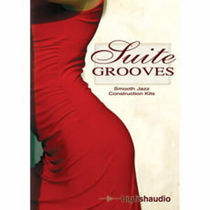 BIG FISH AUDIO SUITE GROOVES(IC[i)(2Ԉȓɔ[i) vOC\tg