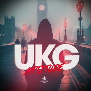 BLACK OCTOPUS yubNINgpXubNtCf[IzUKG ATTITUDE BY KILLSAM AND BETH MORRISON(IC[i)(2Ԉȓɔ[i) vOC\tg