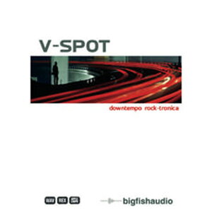 BIG FISH AUDIO V SPOT(IC[i)(2Ԉȓɔ[i) vOC\tg