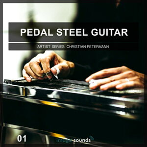 IMAGE SOUNDS PEDAL STEEL GUITAR 1(IC[i)(2Ԉȓɔ[i) vOC\tg