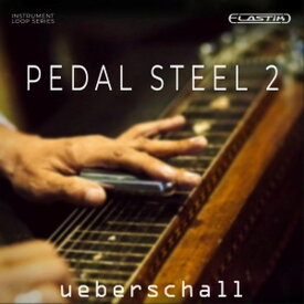 UEBERSCHALL PEDAL STEEL 2(オンライン納品)(2時間以内に納品) ソフトウェア音源