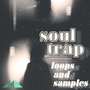 MODEAUDIO SOUL TRAP(�I�����C���[�i)(2���Ԉȓ��ɔ[�i) �v���O�C���\�t�g