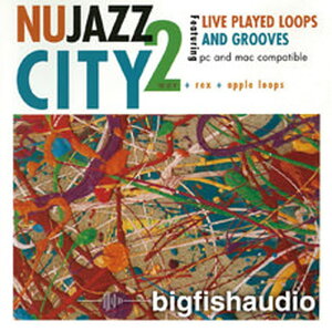 BIG FISH AUDIO yrbOtBbVI[fBIZ[IzNU JAZZ CITY 2(IC[i)(2Ԉȓɔ[i) vOC\tg