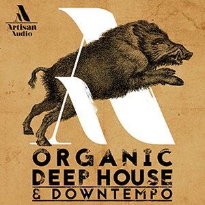 ARTISAN AUDIO ORGANIC DEEP HOUSE & DOWNTEMPO(IC[i)(2Ԉȓɔ[i) vOC\tg