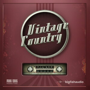 BIG FISH AUDIO VINTAGE COUNTRY(IC[i)(2Ԉȓɔ[i) \tgEFA
