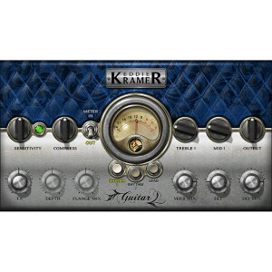 WAVES �yBuy 2 Plugins Get 2 Free�Z�[���I�zEddie Kramer Guitar Channel(�I�����C���[�i)(2���Ԉȓ��ɔ[�i) �v���O�C���\�t�g