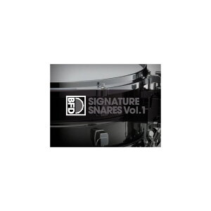BFD BFD Signature Snares Vol. 1 (r[GtfB[)(h)(IC[i)(2Ԉȓɔ[i) \tgEFA