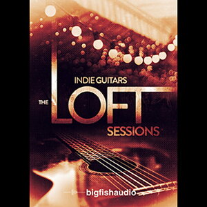 BIG FISH AUDIO yrbOtBbVI[fBIZ[IzINDIE GUITARS - THE LOFT SESSIONS(IC[i)(2Ԉȓɔ[i) vOC\tg