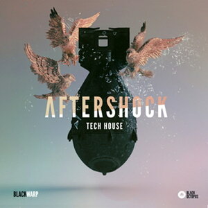 BLACK OCTOPUS AFTERSHOCK TECH HOUSE BY BLACKWARP(IC[i)(2Ԉȓɔ[i) vOC\tg