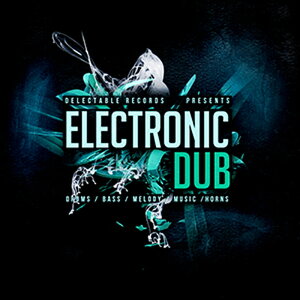 DELECTABLE RECORDS ELECTRONIC DUB(IC[i)(2Ԉȓɔ[i) vOC\tg