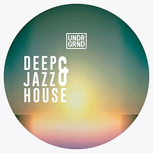 UNDRGRND DEEP & JAZZ HOUSE(IC[i)(2Ԉȓɔ[i) vOC\tg