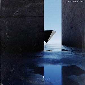 TOUCH LOOPS MELODICA FUTURO(IC[i)(2Ԉȓɔ[i) vOC\tg