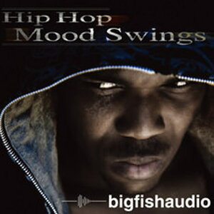 BIG FISH AUDIO HIP HOP MOOD SWINGS(IC[i)(2Ԉȓɔ[i) vOC\tg