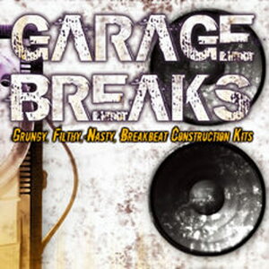 BIG FISH AUDIO yrbOtBbVI[fBIZ[IzGARAGE BREAKS(IC[i)(2Ԉȓɔ[i) vOC\tg