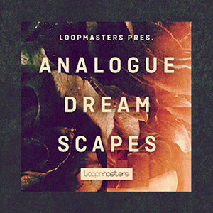 LOOPMASTERS ANALOGUE DREAMSCAPES(�I�����C���[�i)(2���Ԉȓ��ɔ[�i) �v���O�C���\�t�g