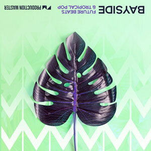 PRODUCTION MASTER BAYSIDE - FUTURE BEATS & TROPICAL POP(�I�����C���[�i)(2���Ԉȓ��ɔ[�i) �v���O�C���\�t�g