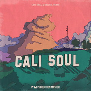 PRODUCTION MASTER �y���]�i���X�T�E���h�X�v�����O�Z�[���I�zCALI SOUL - LOFI CHILL & SOULFUL BEATS(�I�����C���[�i)(2���Ԉȓ��ɔ[�i) �v���O�C���\�t�g