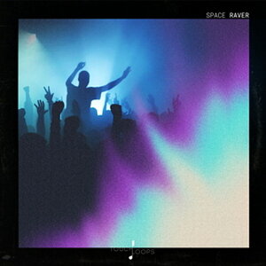 TOUCH LOOPS SPACE RAVER(�I�����C���[�i)(2���Ԉȓ��ɔ[�i) �v���O�C���\�t�g