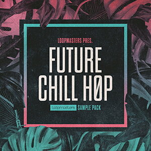 LOOPMASTERS FUTURE CHILL HOP(�I�����C���[�i)(2���Ԉȓ��ɔ[�i) �v���O�C���\�t�g