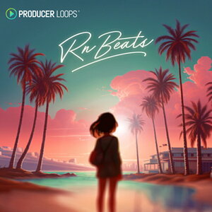 PRODUCER LOOPS RNBEATS(�I�����C���[�i)(2���Ԉȓ��ɔ[�i) �v���O�C���\�t�g