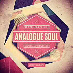 LOOPMASTERS LACK OF AFRO PRESENTS ANALOGUE SOUL(�I�����C���[�i)(2���Ԉȓ��ɔ[�i) �v���O�C���\�t�g