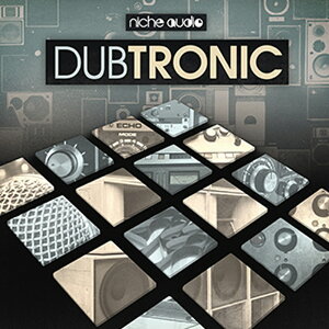 NICHE AUDIO DUBTRONIC - MASCHINE(�I�����C���[�i)(2���Ԉȓ��ɔ[�i) �v���O�C���\�t�g