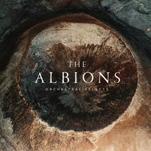 SPITFIRE AUDIO THE ALBIONS ORCHESTRAL SELECTS(IC[i)(2Ԉȓɔ[i) \tgEFA