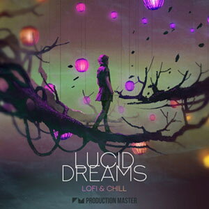 PRODUCTION MASTER LUCID DREAMS - LOFI & CHILL(�I�����C���[�i)(2���Ԉȓ��ɔ[�i) �v���O�C���\�t�g
